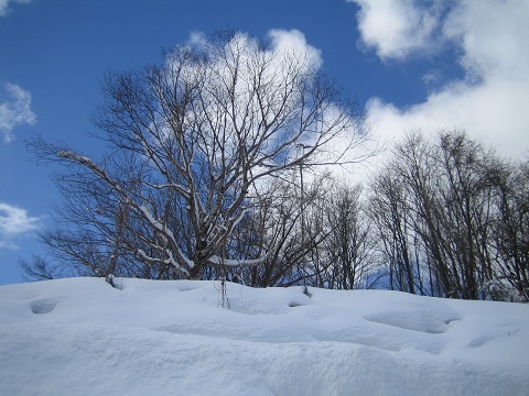 年末年始の休業について